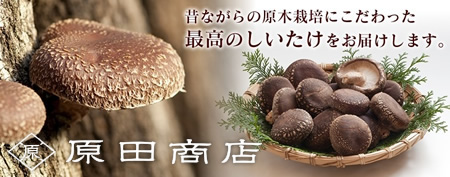 原田商店